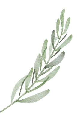 Branch