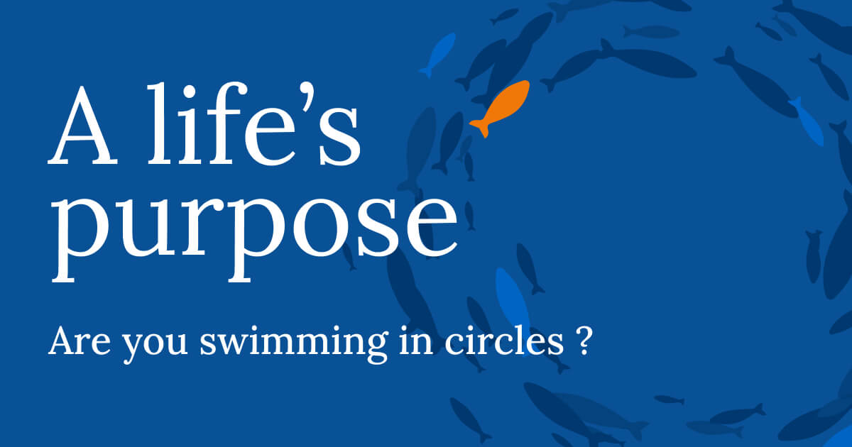 What Is the Meaning of Life?